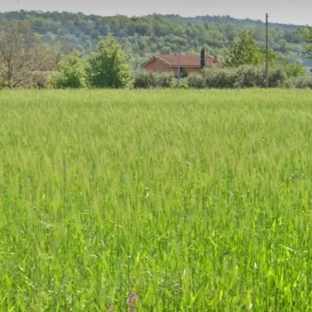 לינה וארוחת בוקר Casa Vigne 3*